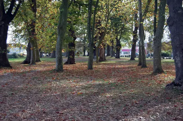 Abri Piscine Sans Rail Constructeur abri de piscine Idron