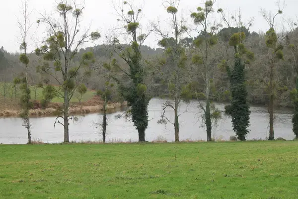 Abri Piscine Sans Rail Constructeur abri de piscine Muzillac